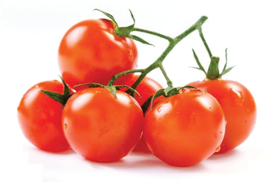 TOMATE CERISE