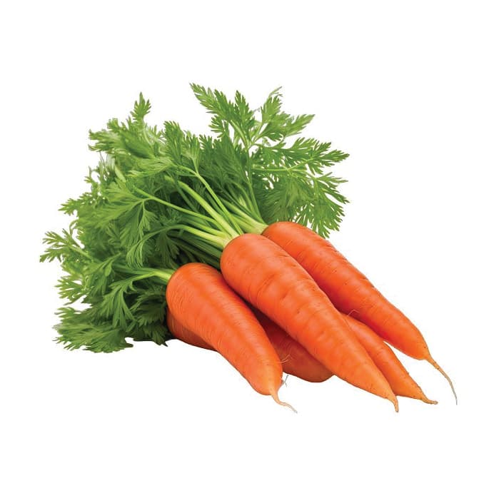 Carrot