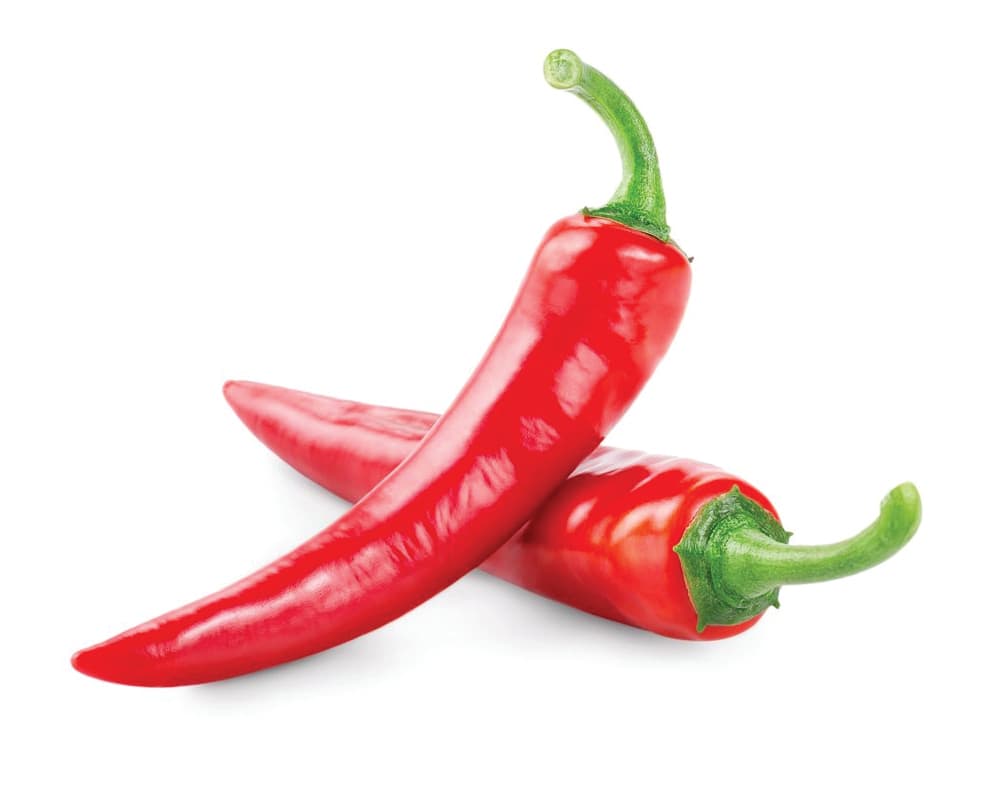 CHILI PEPPER