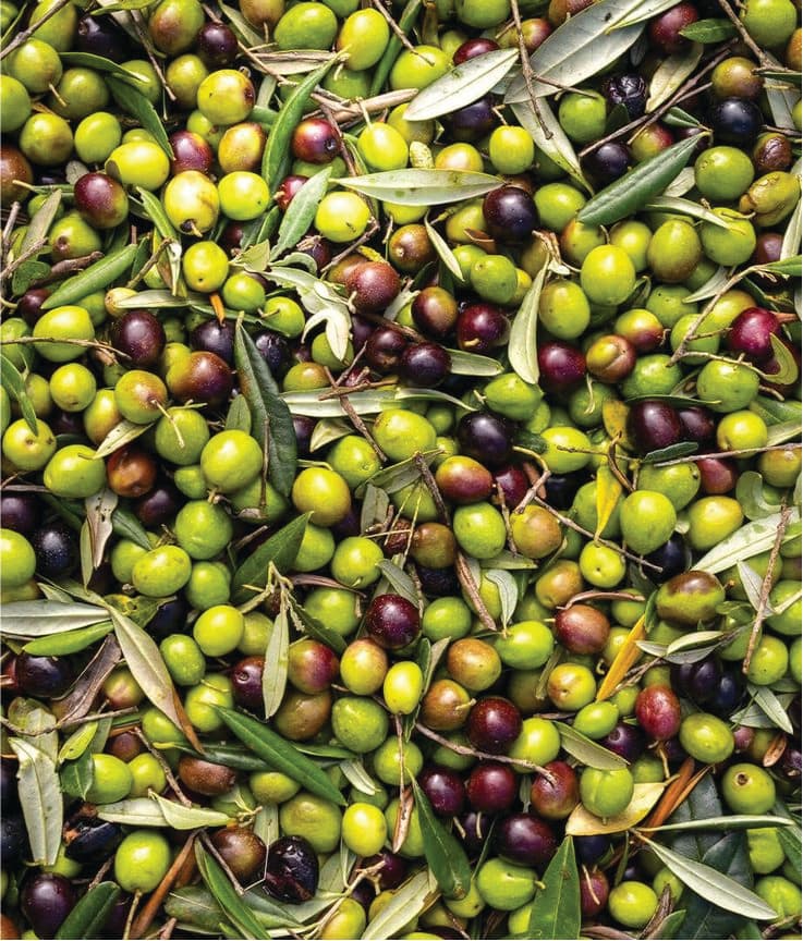 Olive oil